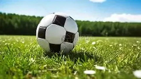 大发彩票 产品 090011 474