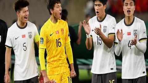 伯明翰英冠迎女王公园：专家大乐透期号推荐分析